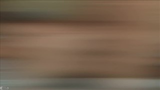 Szofer skradł jej serce